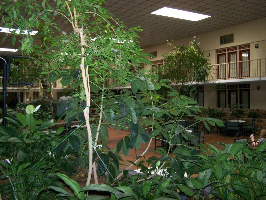 Seasons Inn And Suites Fort Smith Zewnętrze zdjęcie